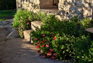 Chambres d'hôtes, La Source du Vallon, à Salles la Source en Aveyron 12